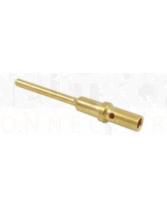 Deutsch 0460-202-2031/50 Size 20 Gold Pin - Bag of 50